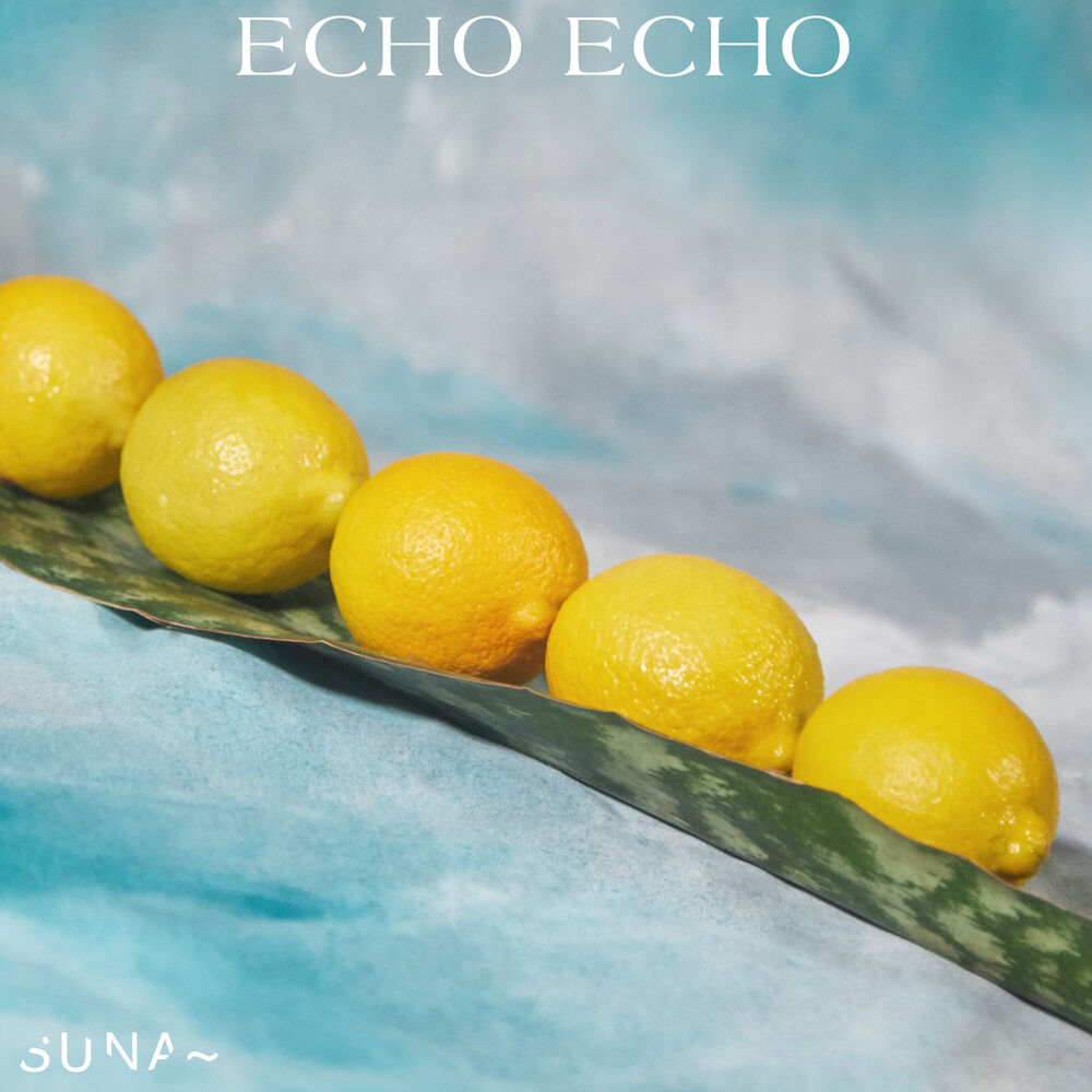 Picture of Echo echo
