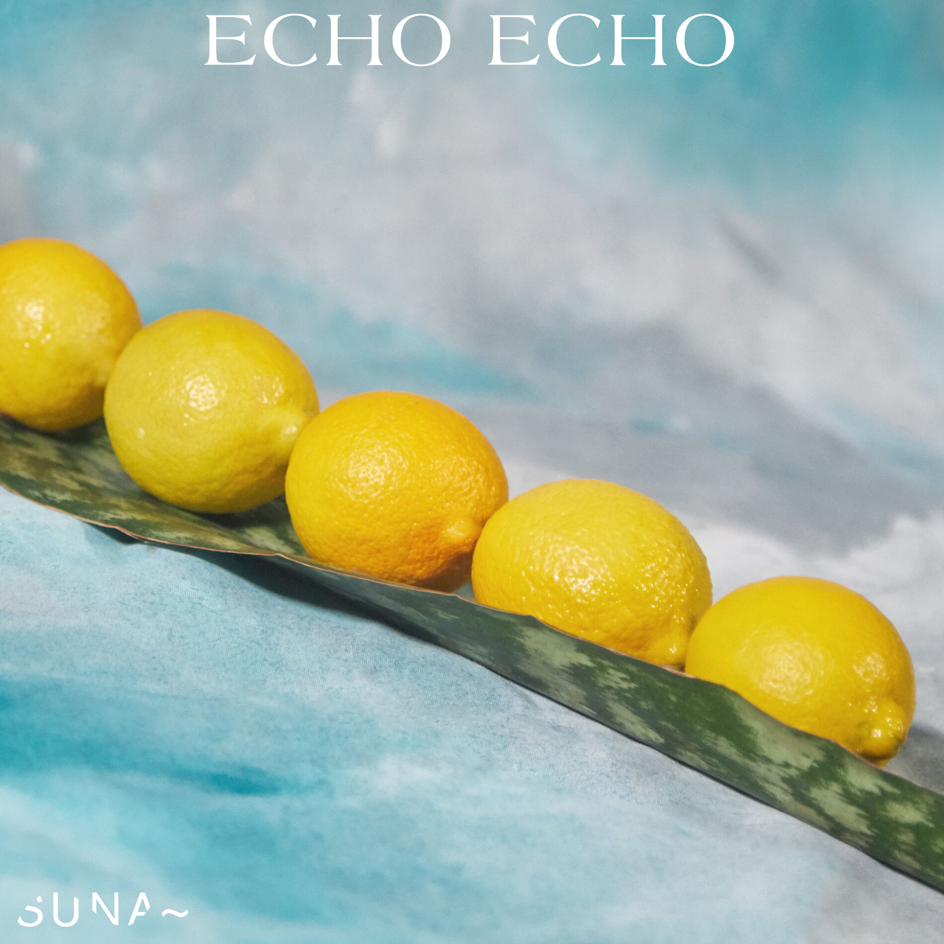 Album cover of Echo echo