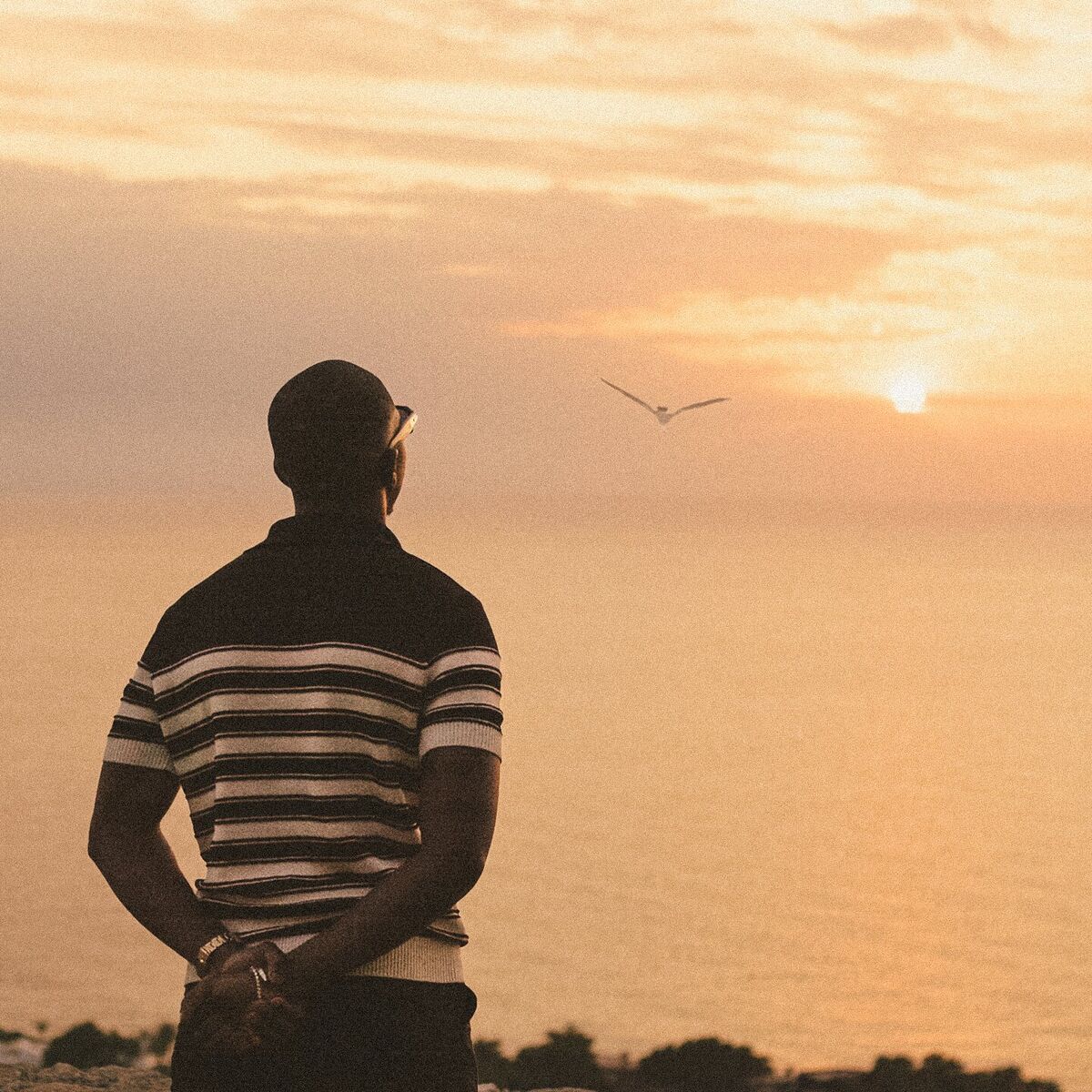 Album cover of PÉLICAN