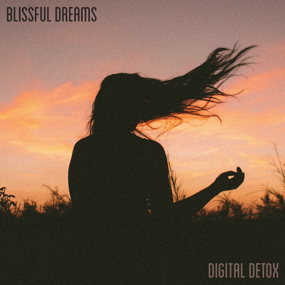Picture of Digital Detox