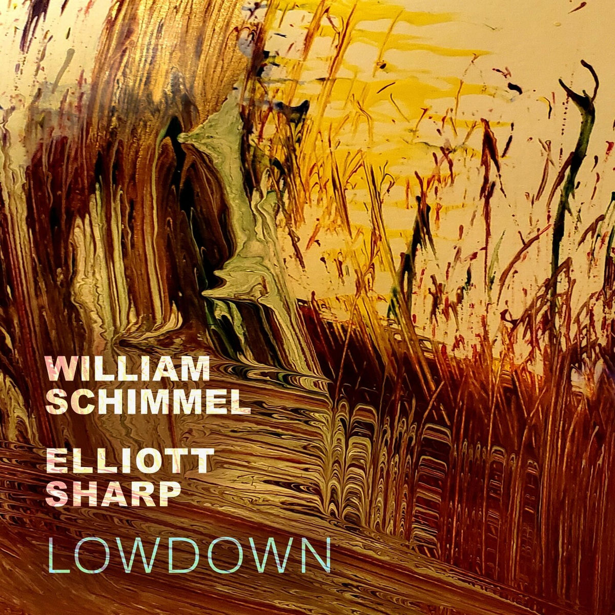 Album cover of Lowdown