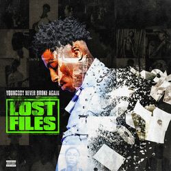 Cover of Lost Files