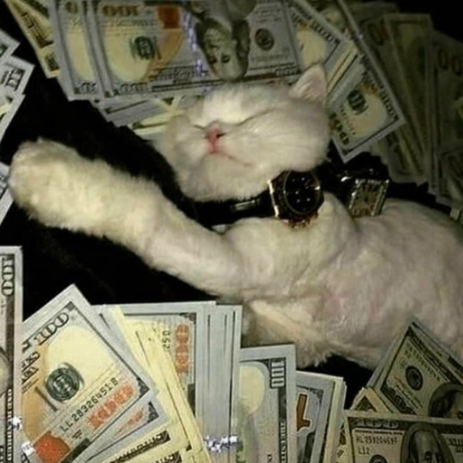 Album cover of ALL OF MY FRIENDS ARE BUM ASS NIGGAS