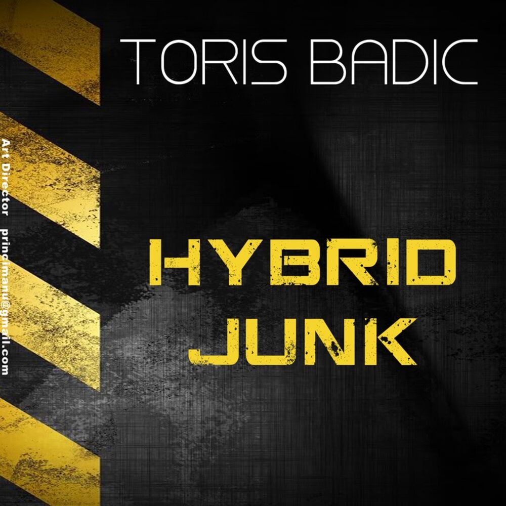 Picture of Hybrid Junk