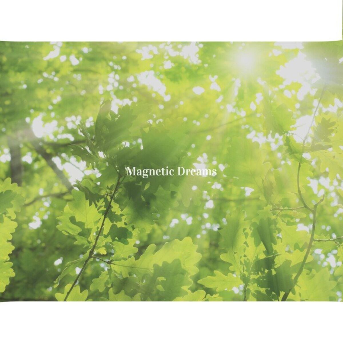 Album cover of Early Morning Dream