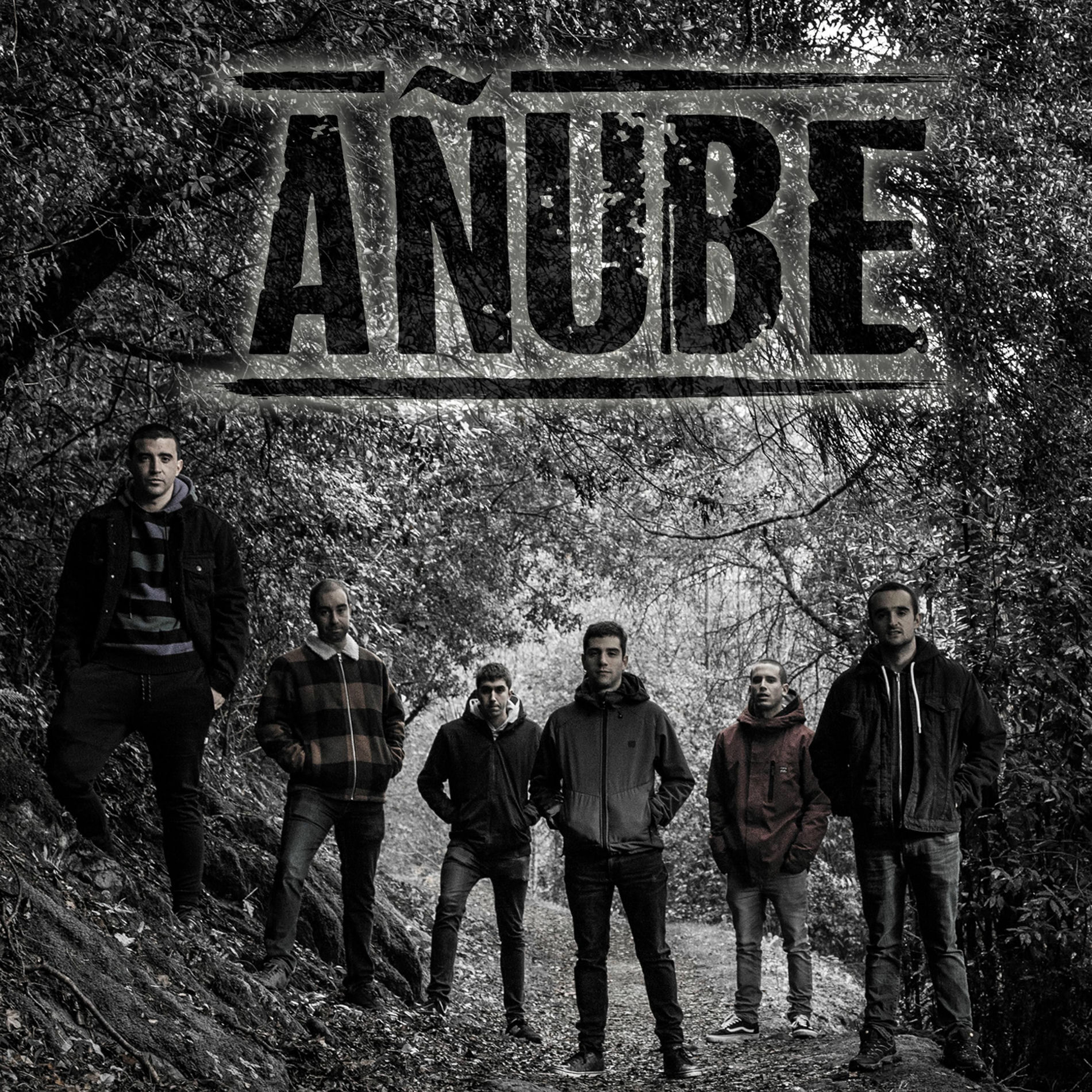 Album cover of Añube