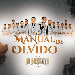 Cover of Manual De Olvido