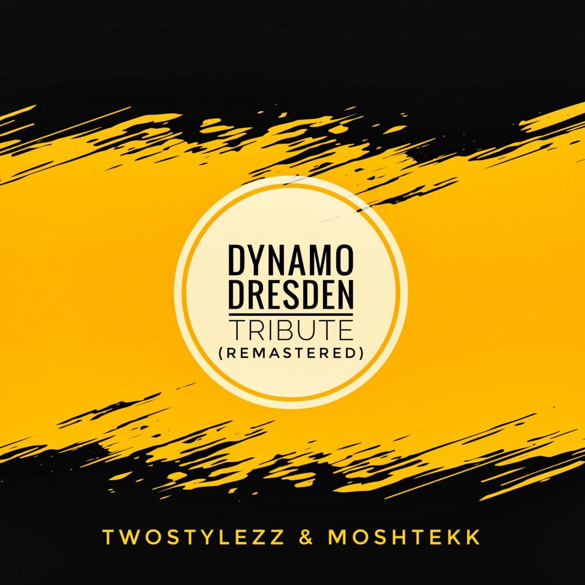 Album cover of Dynamo Dresden Tribute
