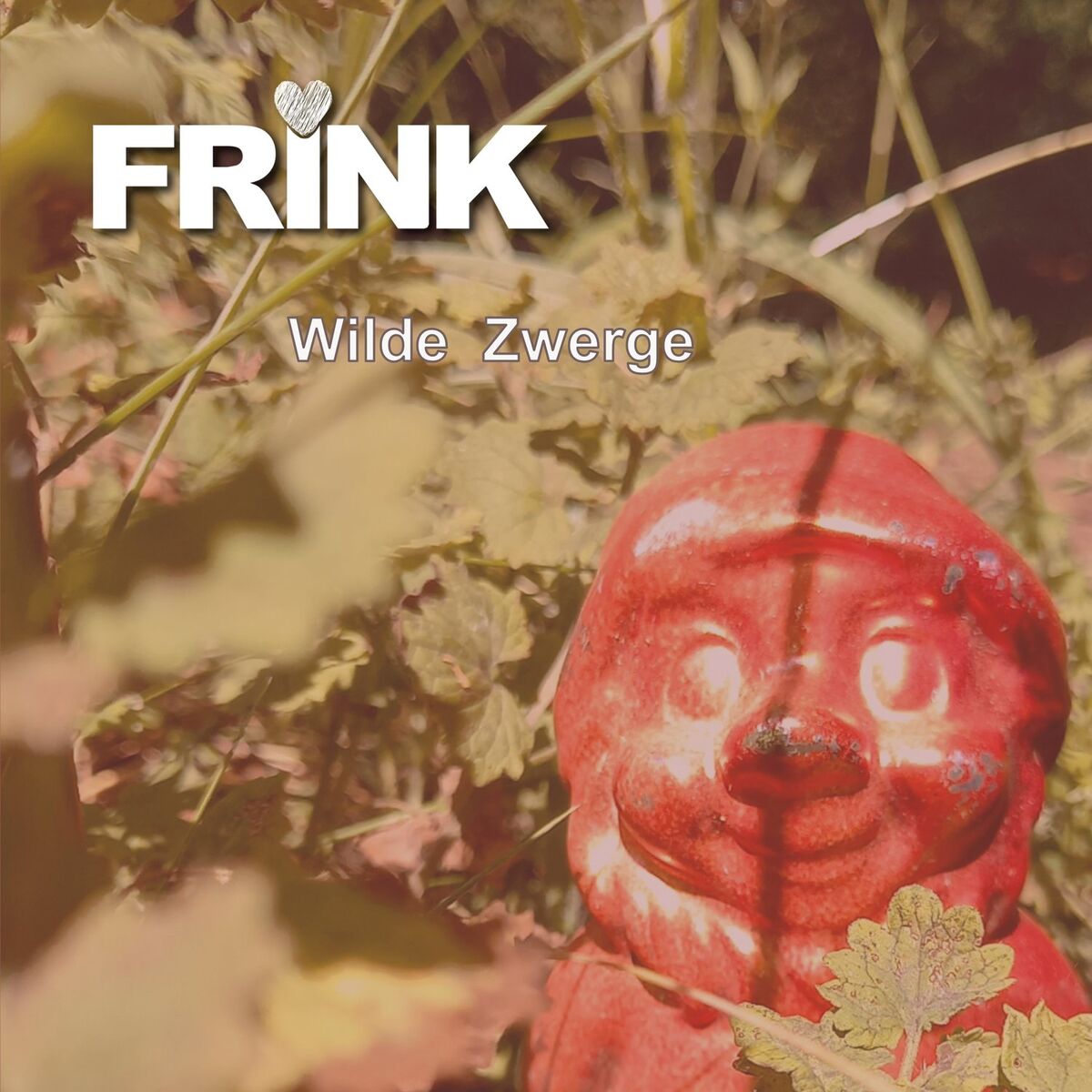 Album cover of Wilde Zwerge