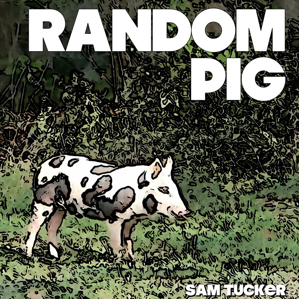 Picture of Random Pig