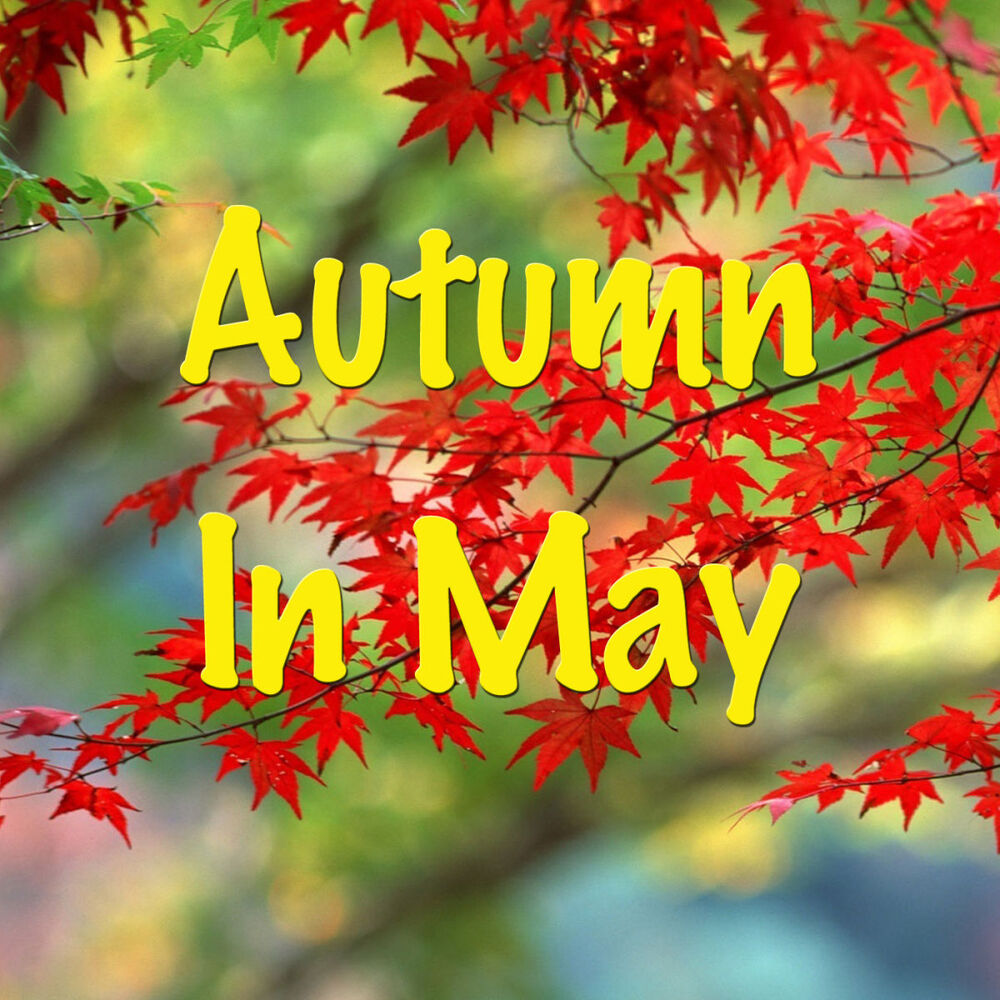 Picture of Autumn To May
