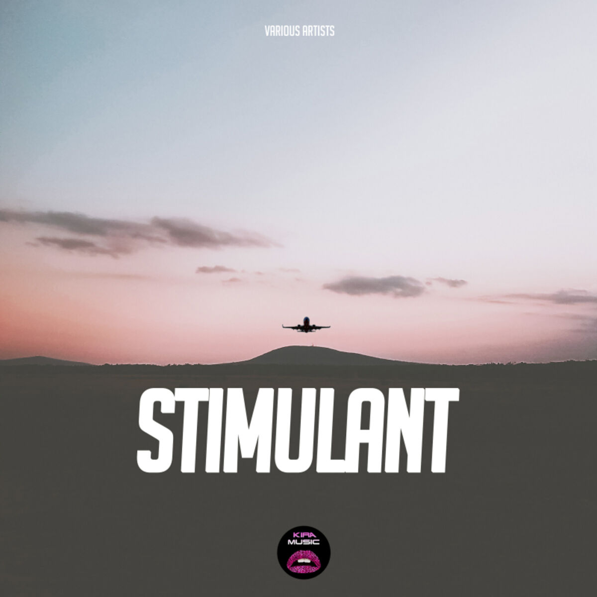 Album cover of Stimulant