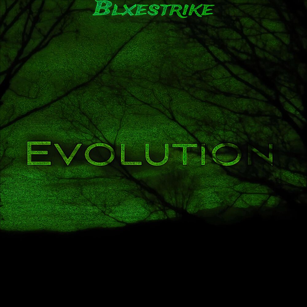 Picture of Evolution (Slowed & Reverb)