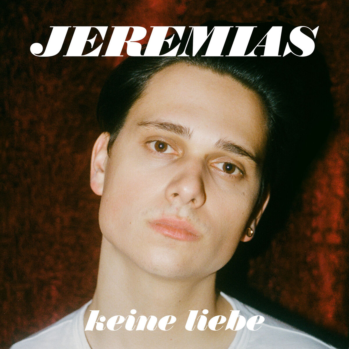 Album cover of keine liebe