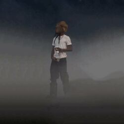 Cover of Hood By Air