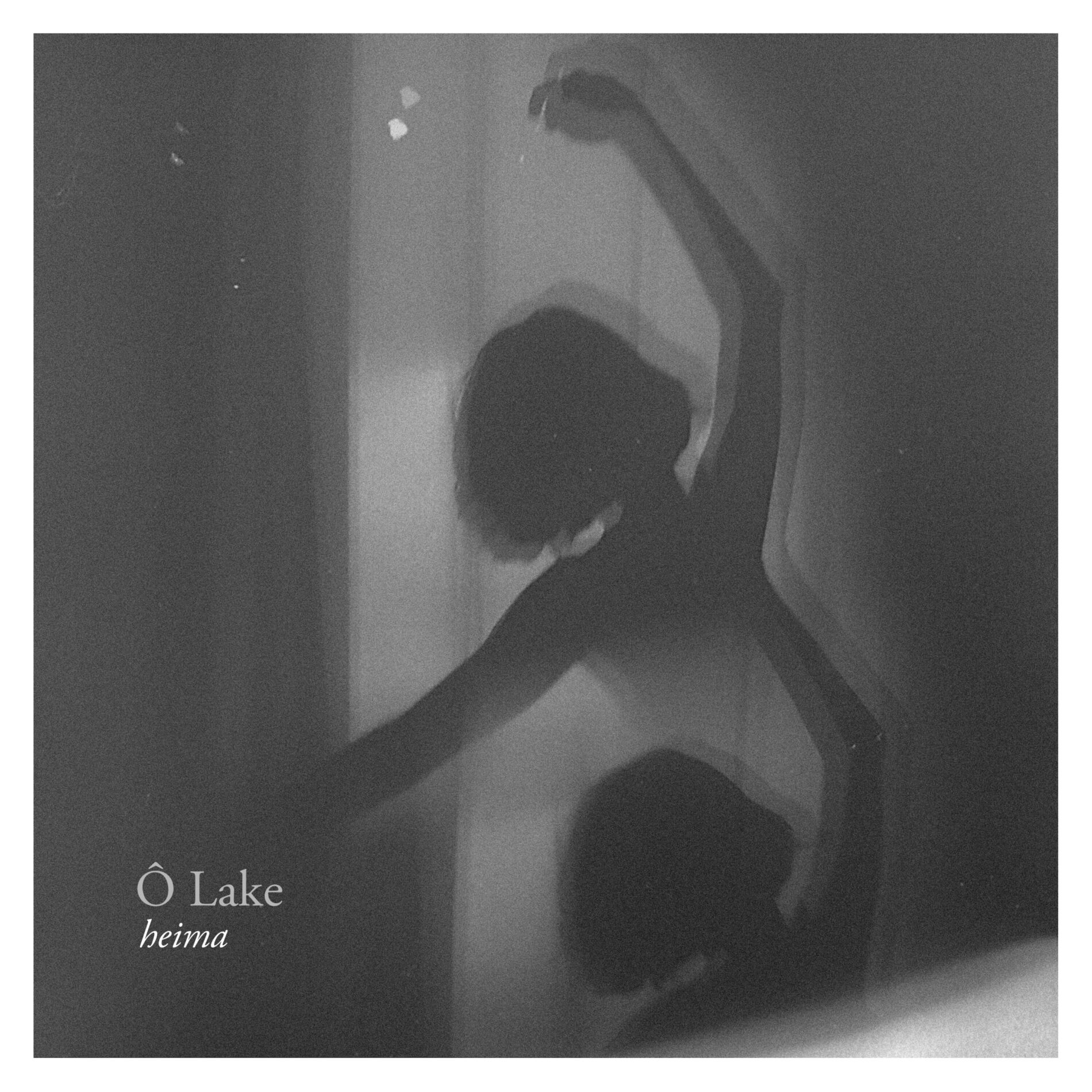 Album cover of Heima