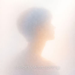 Cover of First Light Perception by undefined