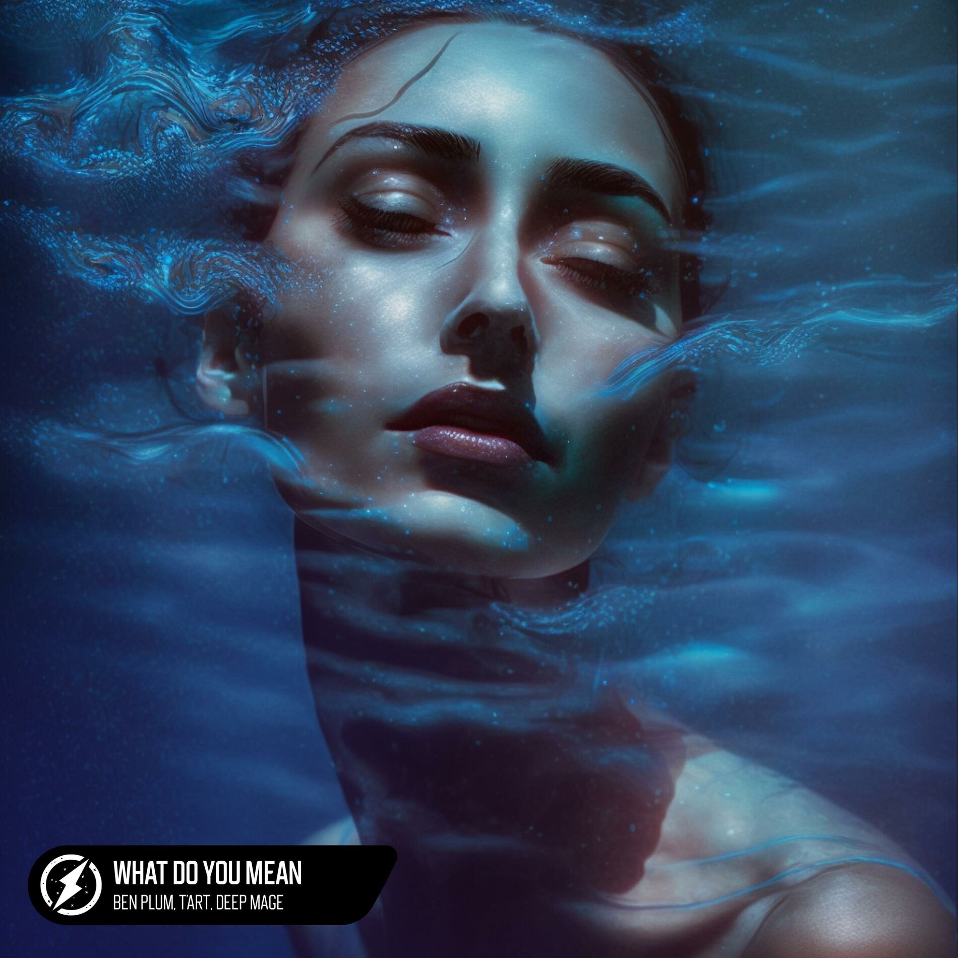 Album cover of What Do You Mean
