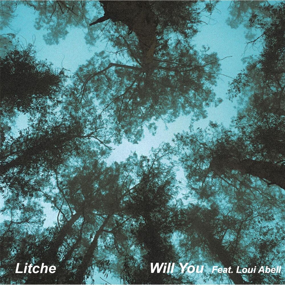 Picture of Will You