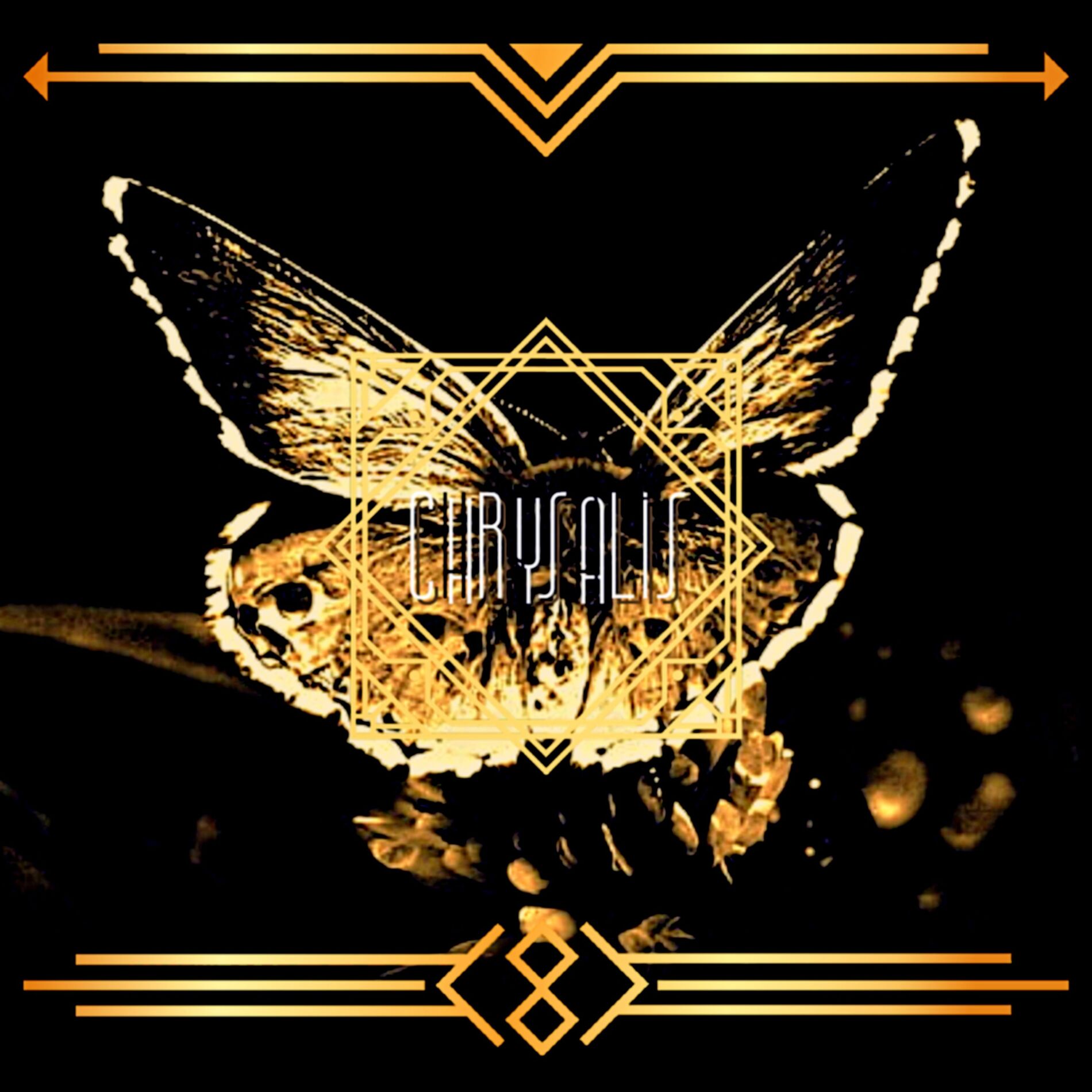 Album cover of chrysalis