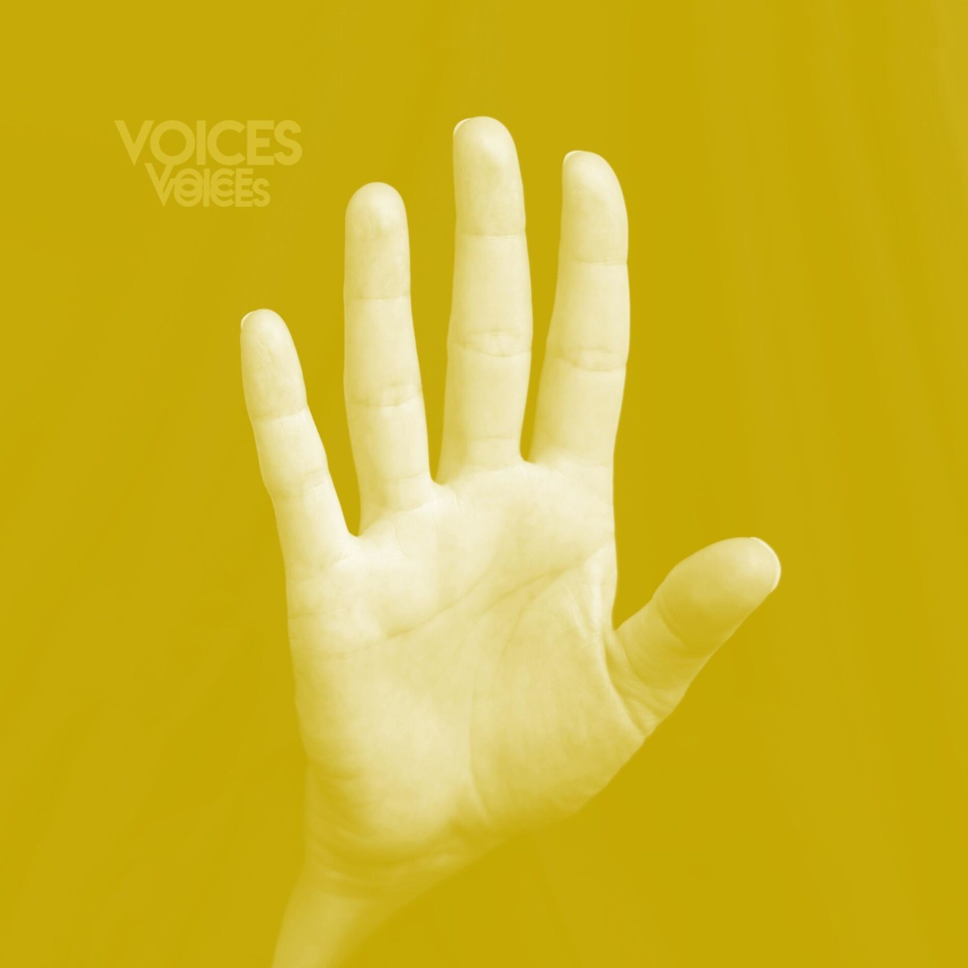 Album cover of Voices