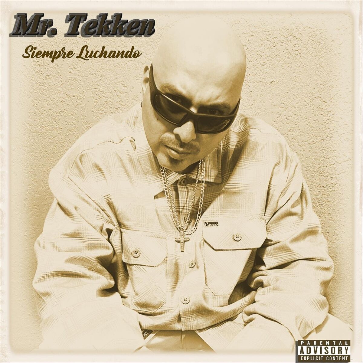 Album cover of Siempre Luchando