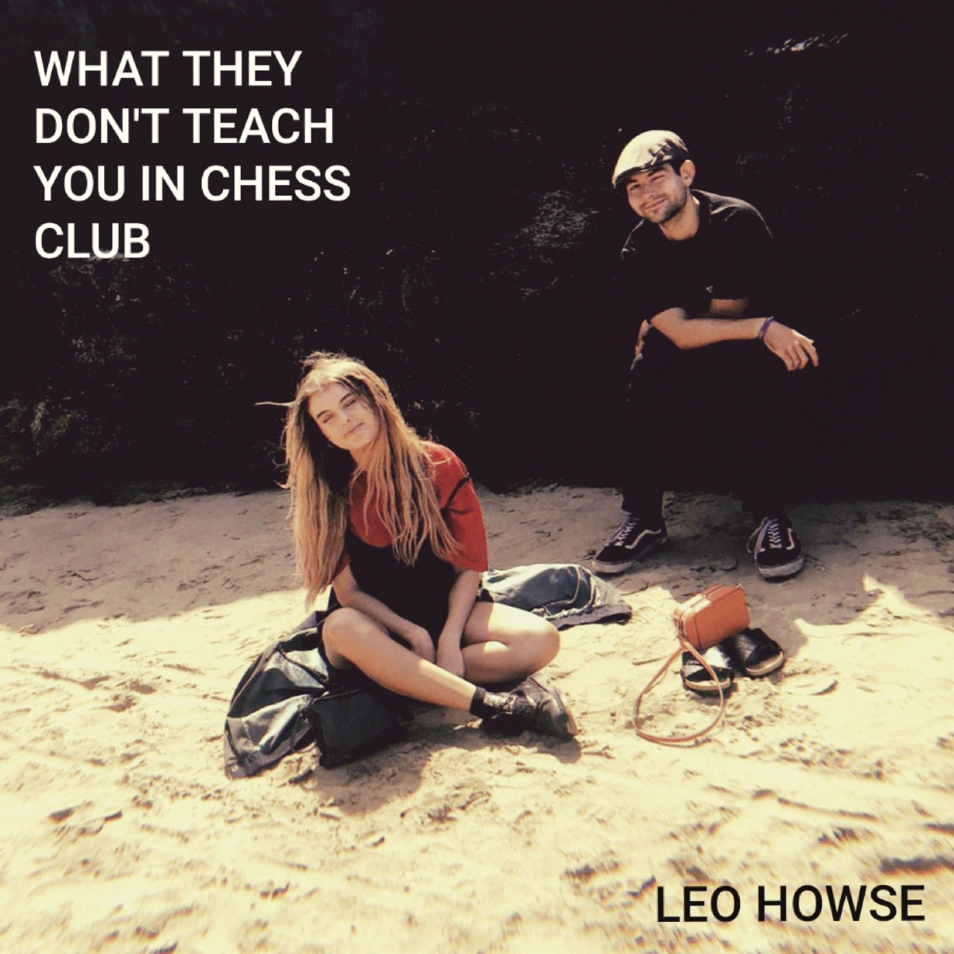 Album cover of What They Don't Teach You in Chess Club