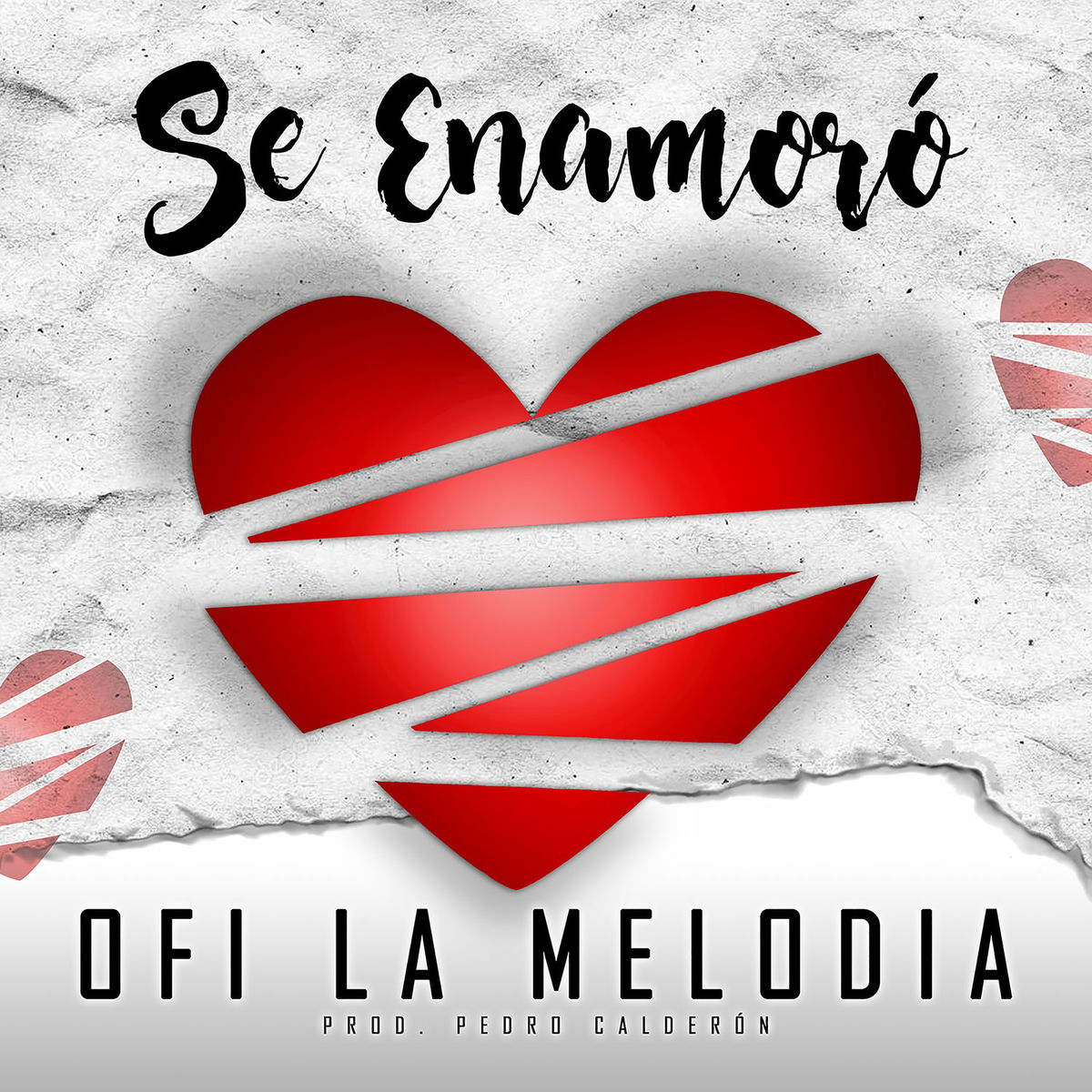 Album cover of Se Enamoró