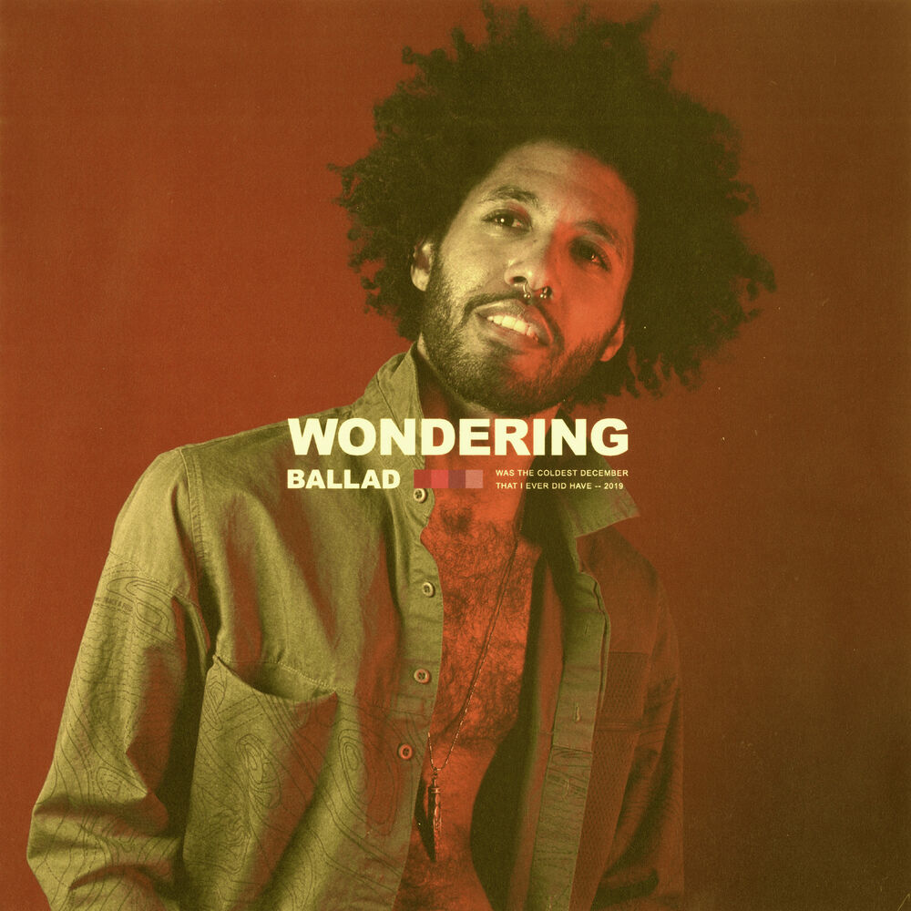 Picture of Wondering