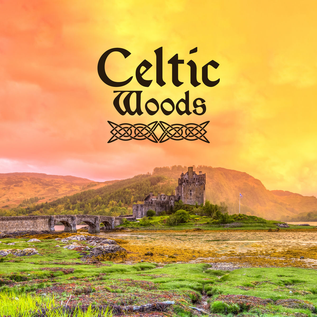 Album cover of Irish Dreamy Fantasy
