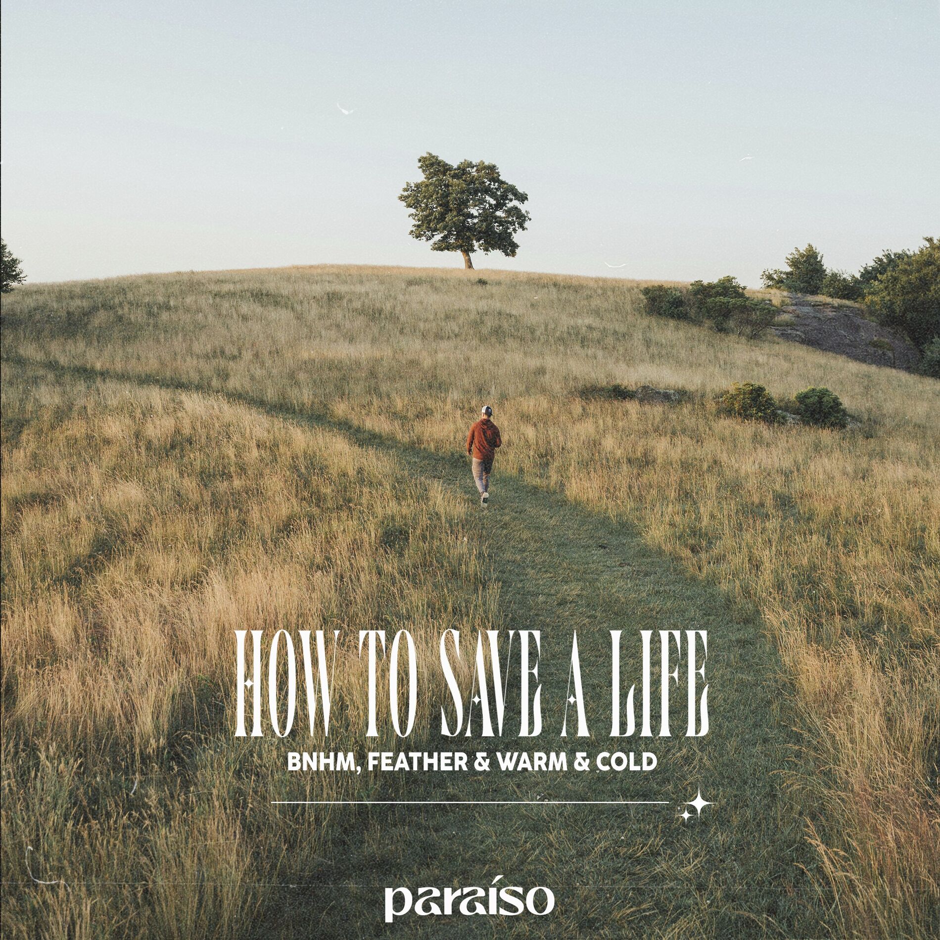 Album cover of How To Save A Life