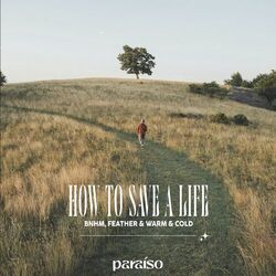 Cover of How To Save A Life