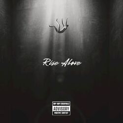 Cover of Rise (Above)