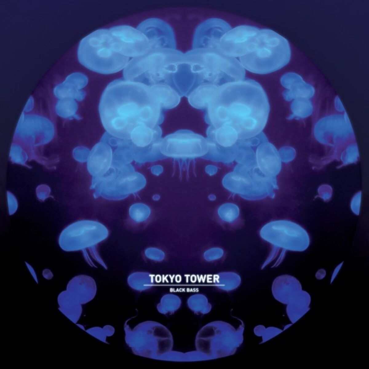 Album cover of Black Bass