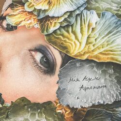 Cover of Aquamarin