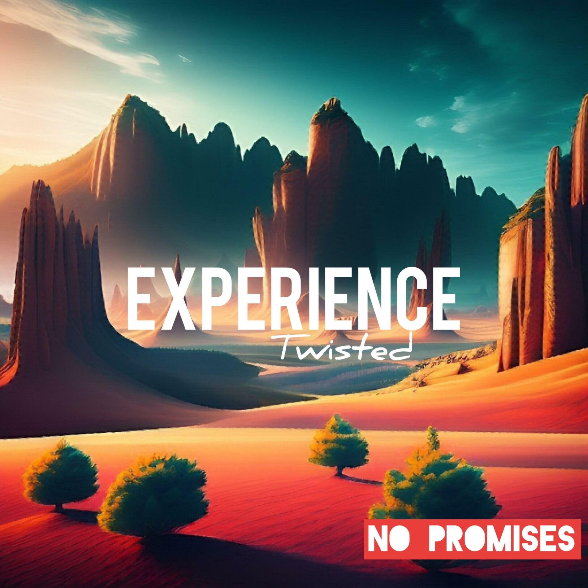 Album cover of Experience (Twisted Version)