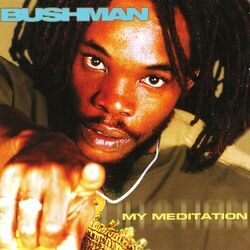 Cover of My Meditation