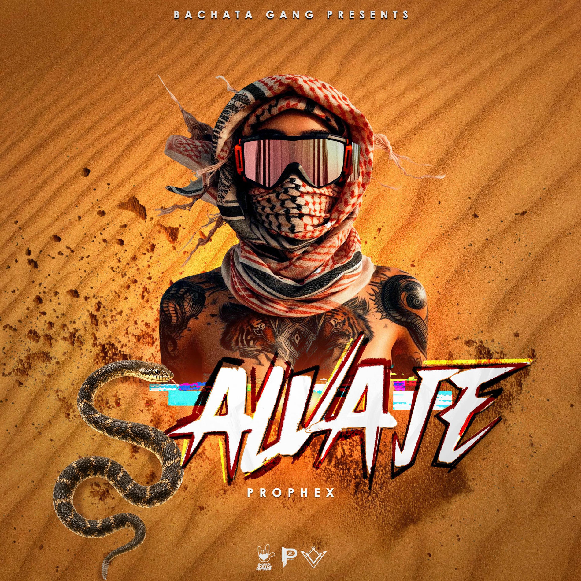 Album cover of SALVAJE