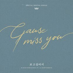 Cover of Cause I Miss You
