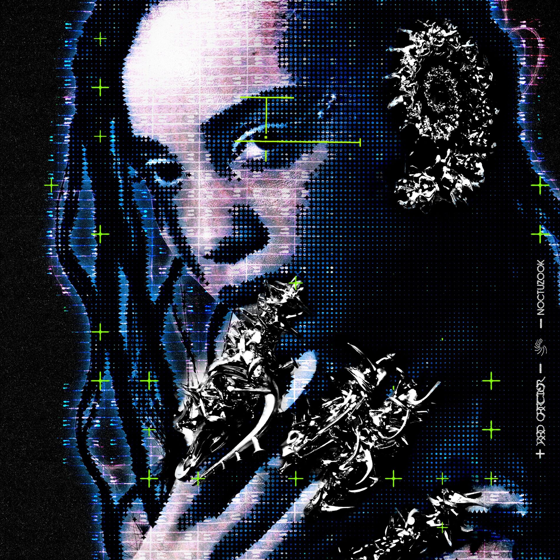 Album cover of NOCTUZOOK (feat. Vacra)