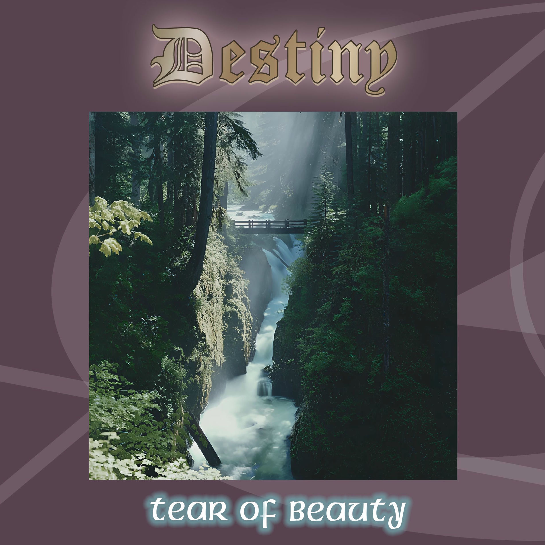 Album cover of Tear of Beauty