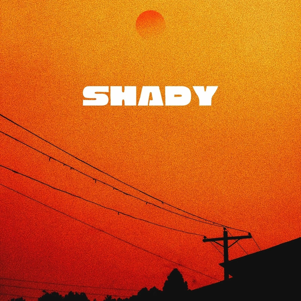 Album cover of Shady