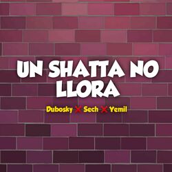 Cover of Un Shatta No Llora