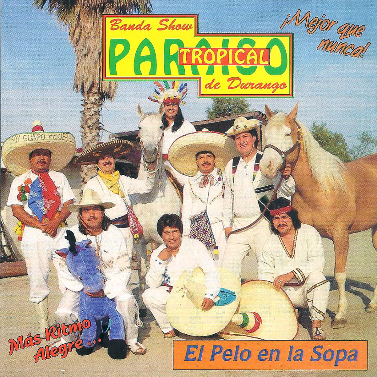 Album cover of El Pelo en la Sopa