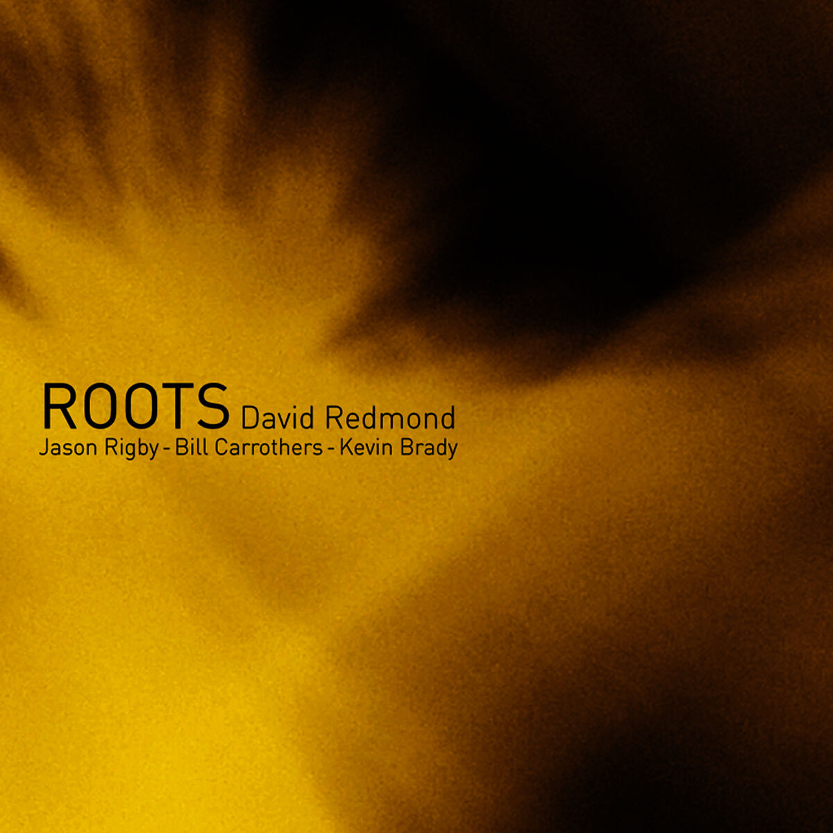 Album cover of Roots