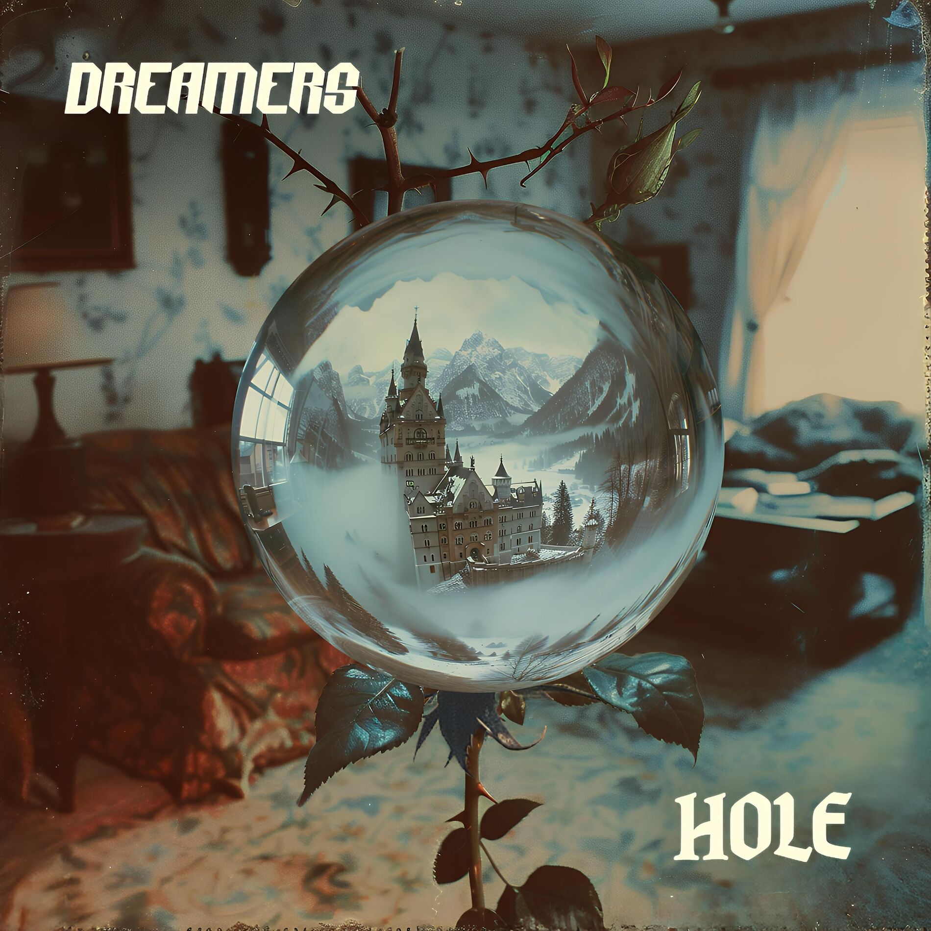 Album cover of Hole