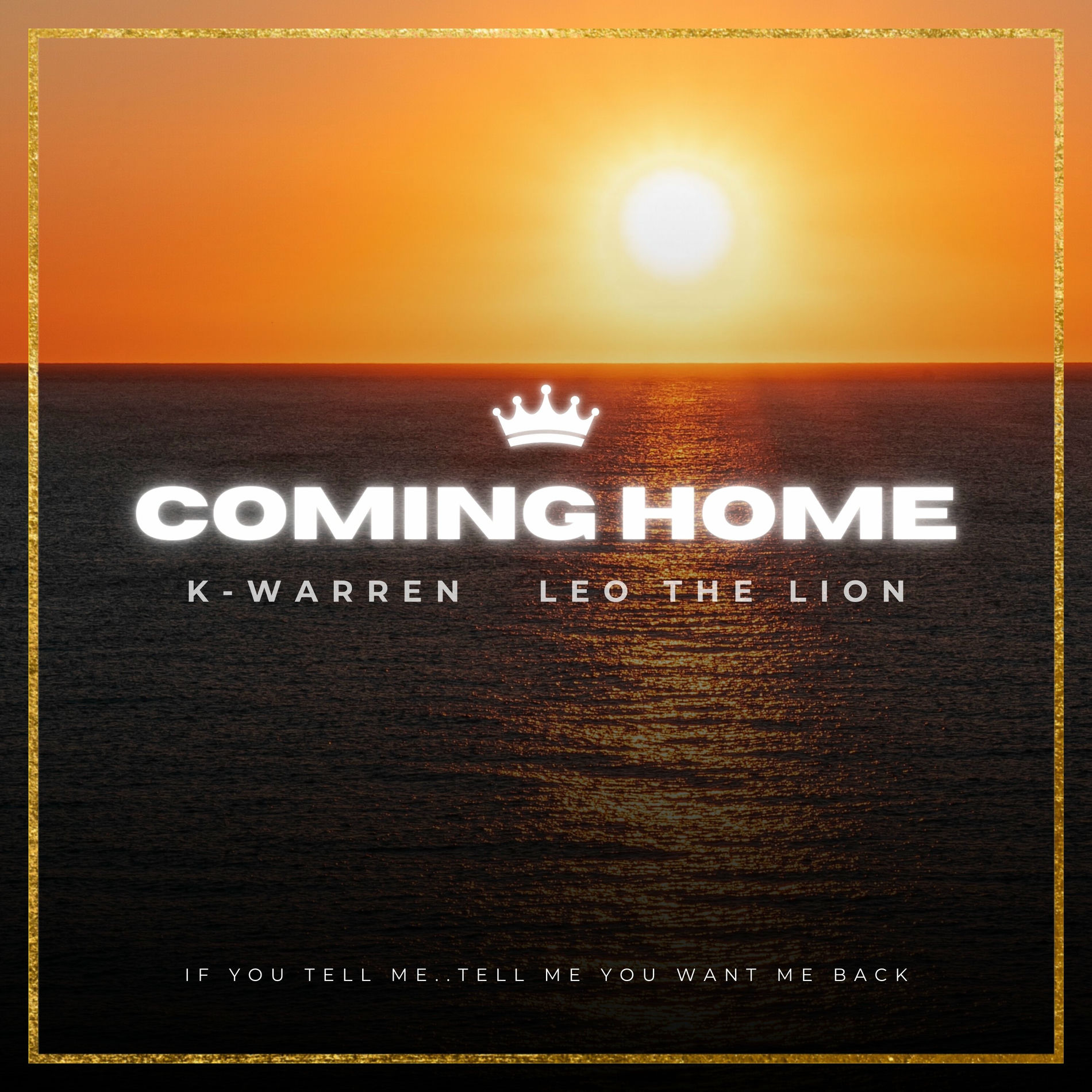 Album cover of Coming Home