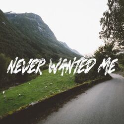 Cover of Never Wanted Me