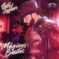 Cover of Mágicos Besitos