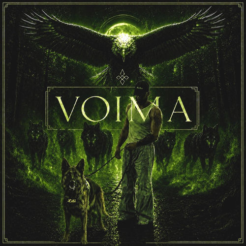 Voima